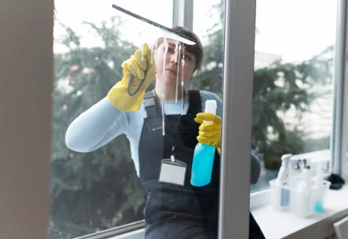 Nettoyage de vitres intérieures et extérieures à Tracy-le-Mont